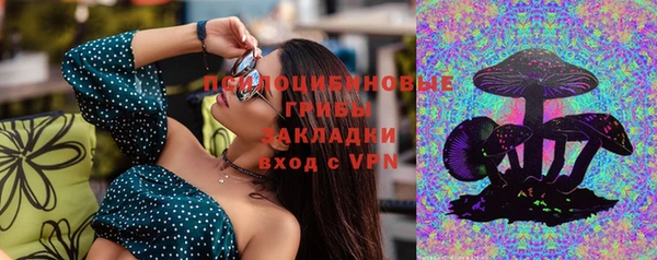 эйфоретик Зерноград